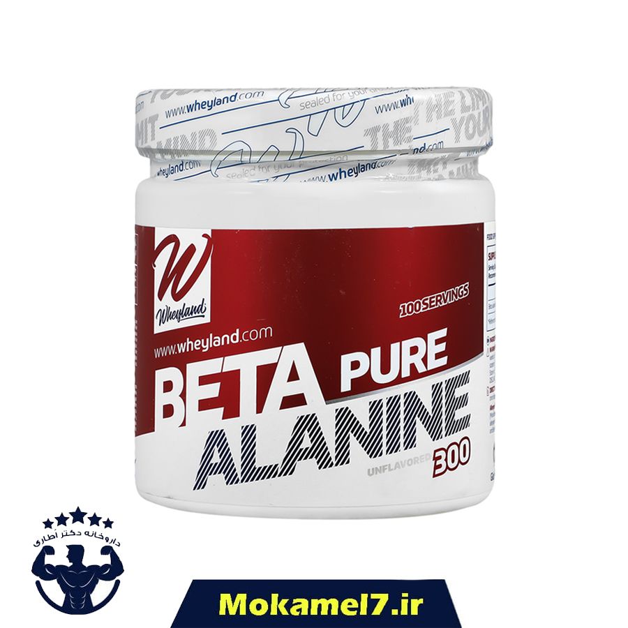 بتا آلانین وی لند 300 گرم | Wheyland Beta Alanine